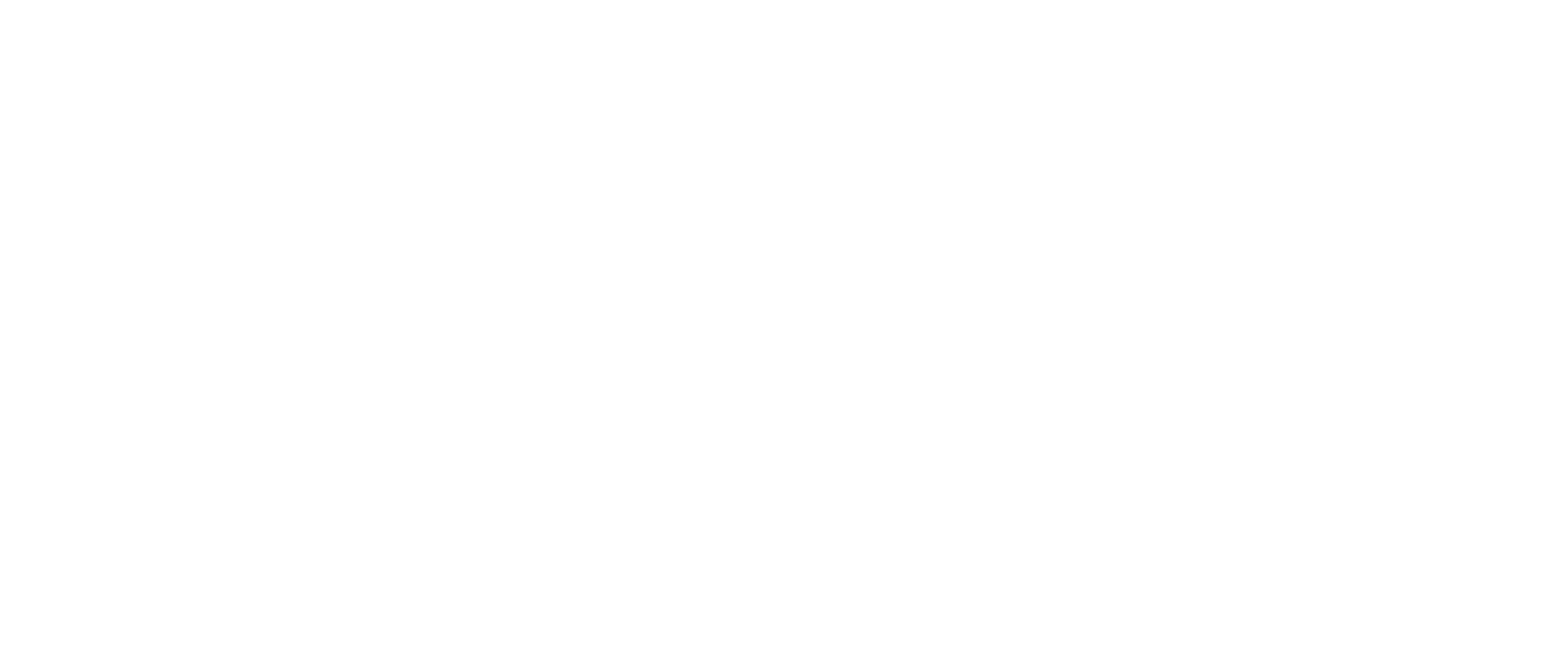 The Skin Patch Company