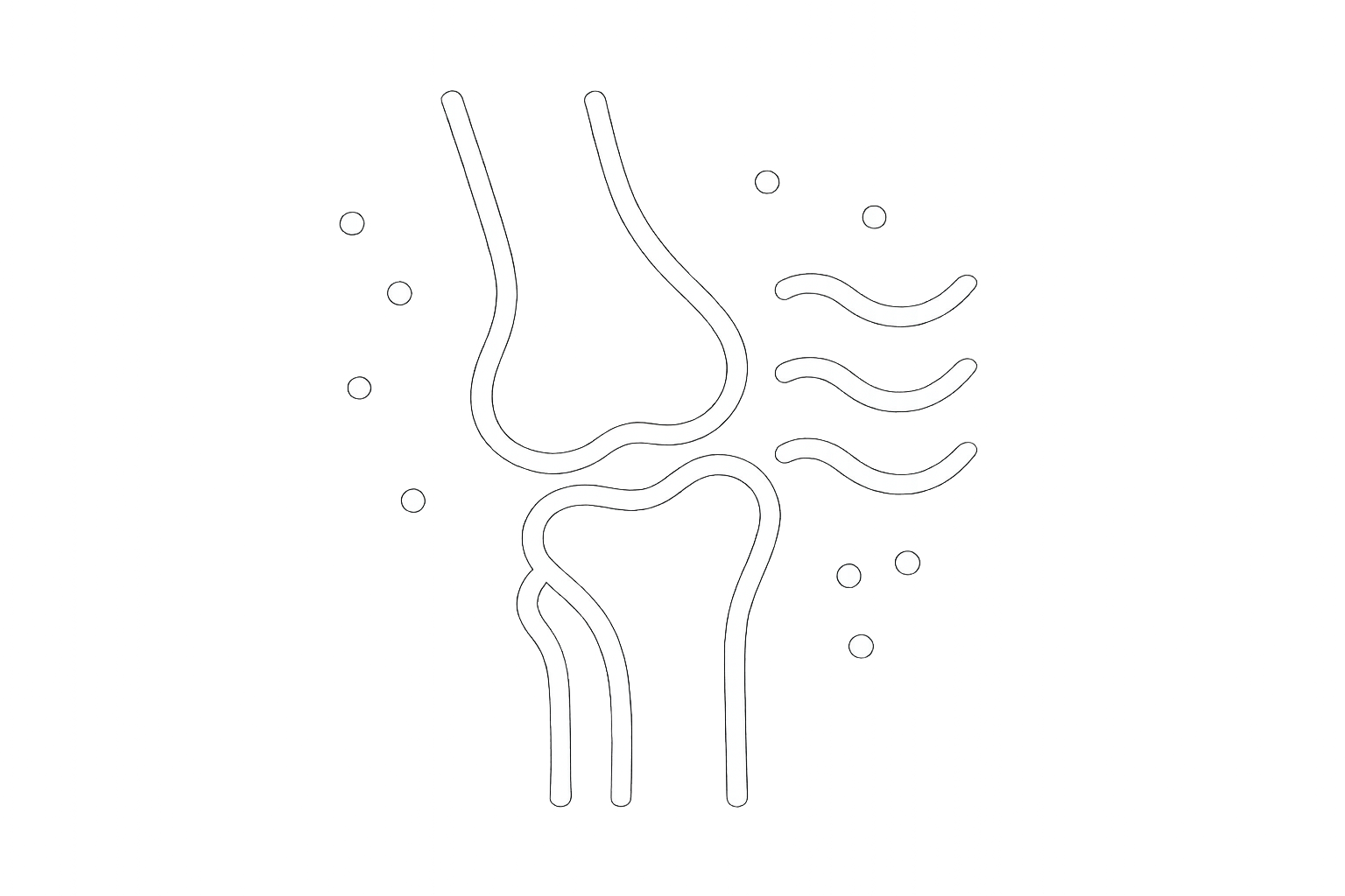 May relieve joint discomfort by reducing local inflammation. white outline icon with a transparent background